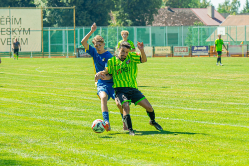 [file]